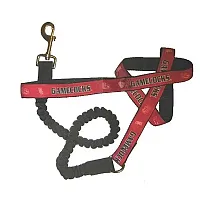 Hunter South Carolina Gamecocks Bungee Ribbon Pet Leash