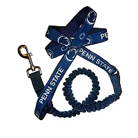 Hunter Penn State Nittany Lions Bungee Ribbon Pet Leash