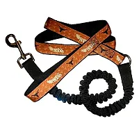 Hunter Texas Longhorns Bungee Ribbon Pet Leash