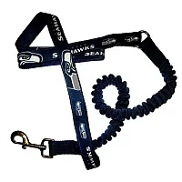 Hunter Seattle Seahawks Bungee Ribbon Pet Leash
