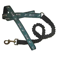 Hunter Philadelphia Eagles Bungee Ribbon Pet Leash