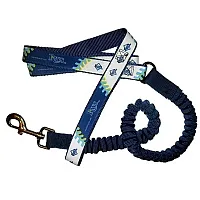 Hunter Tampa Bay Rays Bungee Ribbon Pet Leash