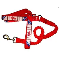 Hunter Philadelphia Phillies Bungee Ribbon Pet Leash