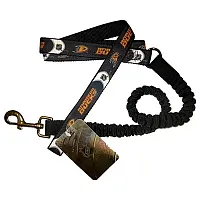 Hunter Anaheim Ducks Bungee Ribbon Pet Leash