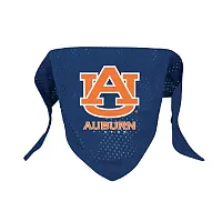 Hunter Auburn Tigers Pet Mesh Bandana - Small
