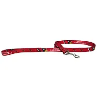 Hunter Arizona Cardinals Pet Leash