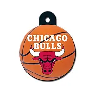 Hillman Group Chicago Bulls Circle ID Tag