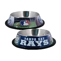 Hunter Tampa Bay Rays Dog Bowl