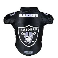 Little Earth Productions Oakland Raiders Pet Premium Jersey - Small
