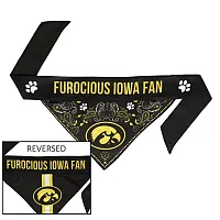Little Earth Productions Iowa Hawkeyes Pet Reversible Paisley Bandana - Large