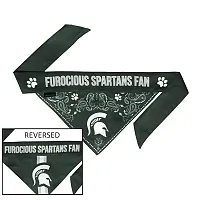 Little Earth Productions Michigan State Spartans Pet Reversible Paisley Bandana