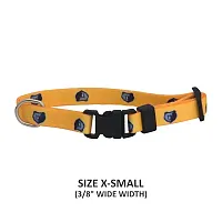 Little Earth Productions Memphis Grizzlies Pet Nylon Collar - XS