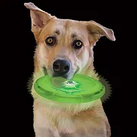 Nite Ize Nite Ize FlashFlight Dog Discuit - Red