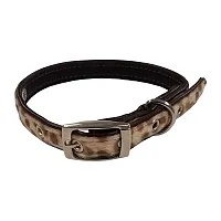 Pet Edge Tails Of The West Collar - 10-16&quot;