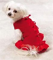 Pet Edge Velvet Party Dress - Small