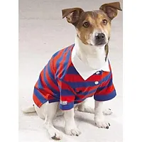 Pet Edge Back To School Rugby Polos - XS-Red/Blue