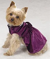 Pet Edge Lap of Luxury Velvet Dresses with Pearls - Large