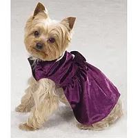 Pet Edge Lap of Luxury Velvet Dresses with Pearls - XS