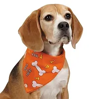 Pet Edge Aria Trick Or Treat Bandana