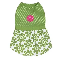 Pet Edge Country Club Dog Dress - Medium