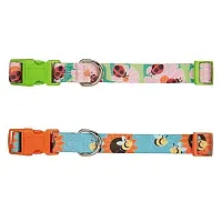 Pet Edge Zack & Zoey Flutter Bugs Dog Collars - Small - Bumble Bee