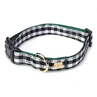 Pet Edge M. Isaac Mizrahi Gingham Pet Collar - 18-26&quot; Length