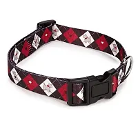 Pet Edge Zack & Zoey Sweetheart Scottie Pet Collar - 14-20&quot; Length