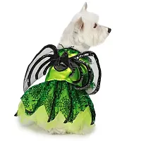 Pet Edge Zack & Zoey Spider Princess Pet Costume - Medium