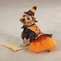 Pet Edge Spellhound Witch Costume - Medium