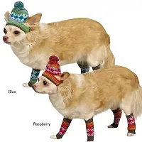 Pet Edge ESC Northern Lights Hat & Leg Warmer Set - Med-Raspberry