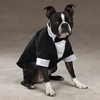 East Side Collection; Pet Edge Yappily Ever After Groom Tuxedo - XX Small