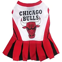 Pets First Chicago Bulls Cheerleader Pet Dress - Medium