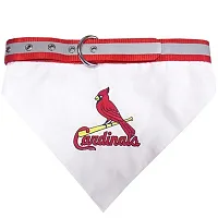 Pets First St. Louis Cardinals Pet Collar Bandana - Large