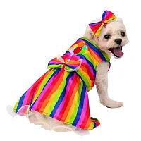 Rubie's Costume Co. Rainbow Party Pet Costume - Medium