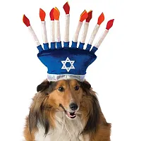 Rubie's Costume Co Menorah Pet Hat - M/L
