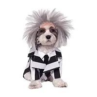 Rubie's Costume Co Beetlejuice Pet Costume - Small