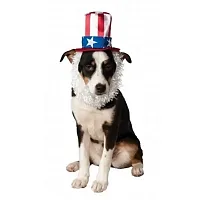 Rubie's Costume Co Uncle Sam Pet Hat With Beard - M/L