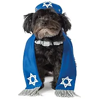 Rubie's Costume Co Yarmulke Tallis Pet Costume - M/L