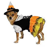 Rubie's Costume Co Candy Corn Witch Pet Costume - Small