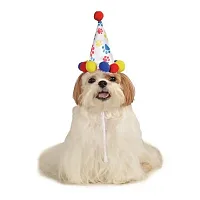 Rubie's Costume Co Paw Print Birthday Pet Hat - M/L