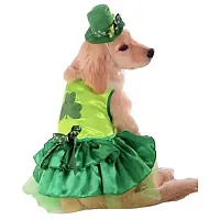 Rubie's Costume Co Lucky Dog Pet Costume - Large