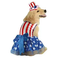 Rubie's Costume Co Patriotic Pooch Pet Costume - Medium