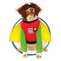 Rubie's Costume Co Robin Pet Costume - Small