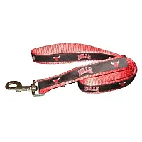SportyK9 Chicago Bulls Alternate Style Dog Leash - M/L