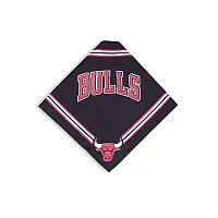 SportyK9 Chicago Bulls Dog Bandana - Small