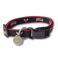 SportyK9 Chicago Bulls Reflective Dog Collar - M/L