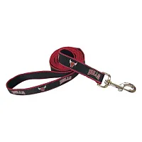 SportyK9 Chicago Bulls Reflective Dog Leash - M/L
