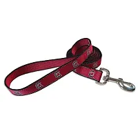 SportyK9 South Carolina Gamecocks Reflective Pet Leash - Small