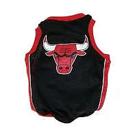 SportyK9 Chicago Bulls Alternate Style Dog Jersey - X-Large