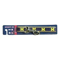 SportyK9 Michigan Wolverines Reflective Dog Leash - M/L